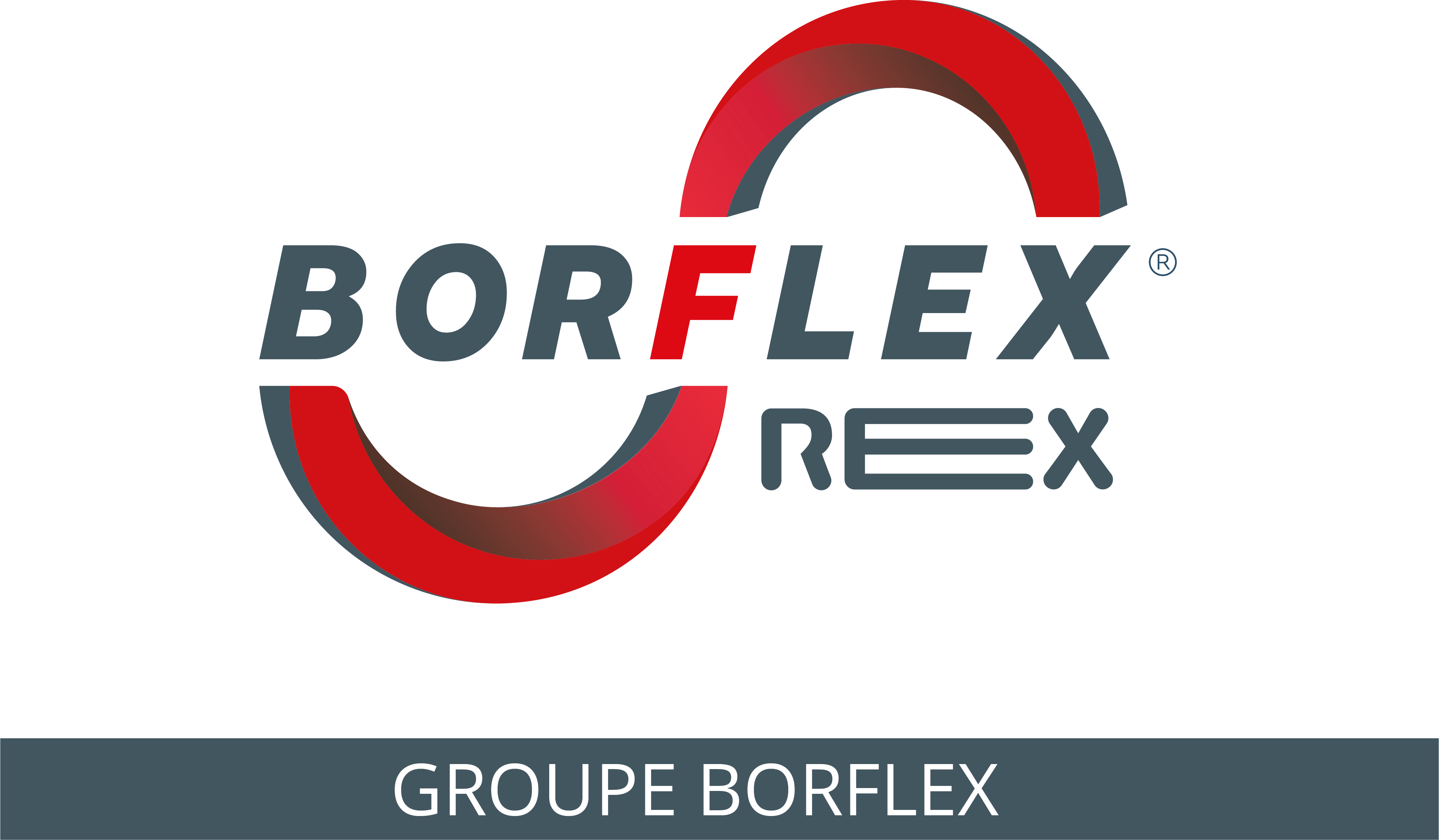 Borflex-Rex_Logotype_Enseign sites_3-01