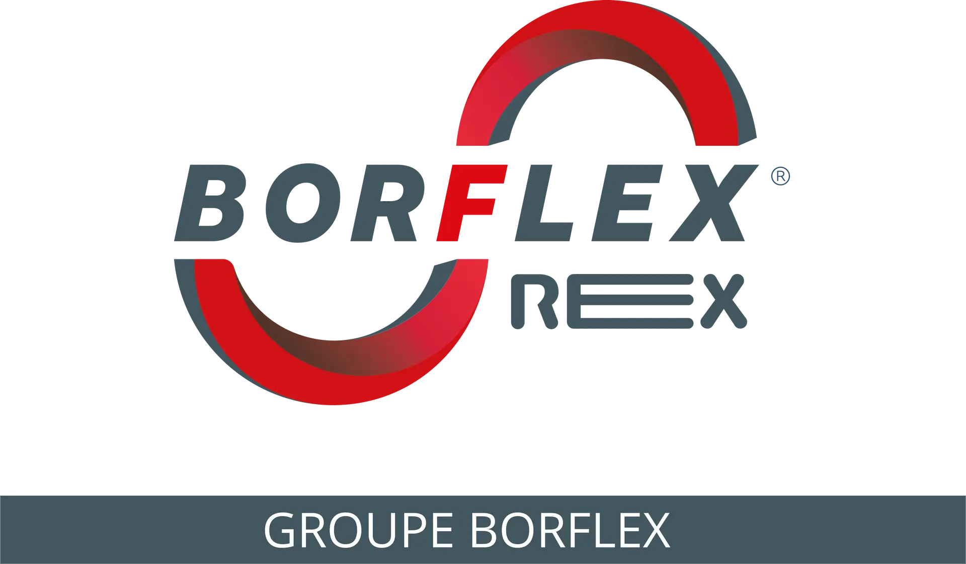 Borflex-Rex_Logotype_Enseign sites_3-01
